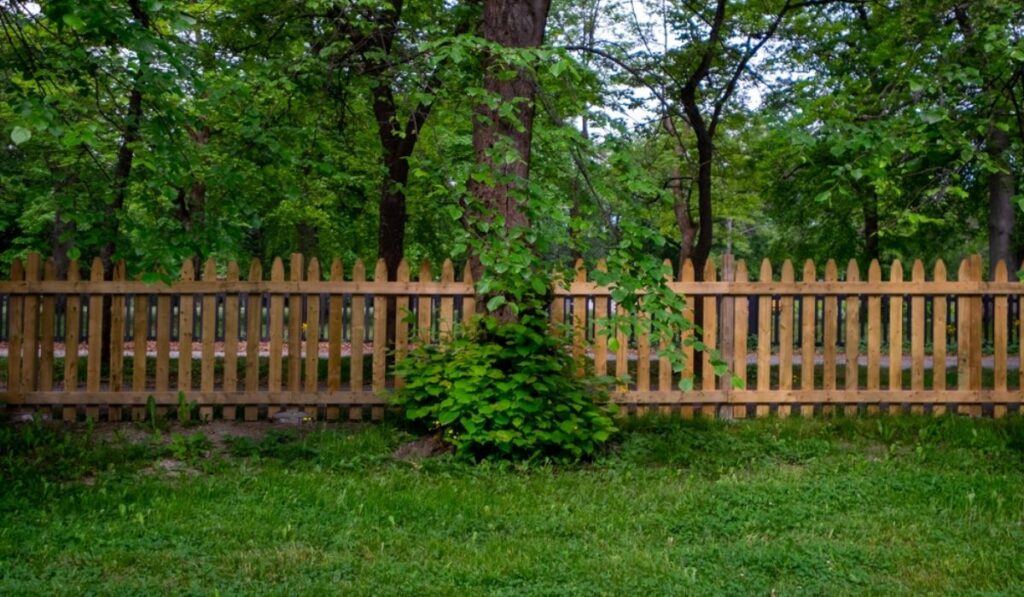 Wood backyard brown fence in Doylestown, PA